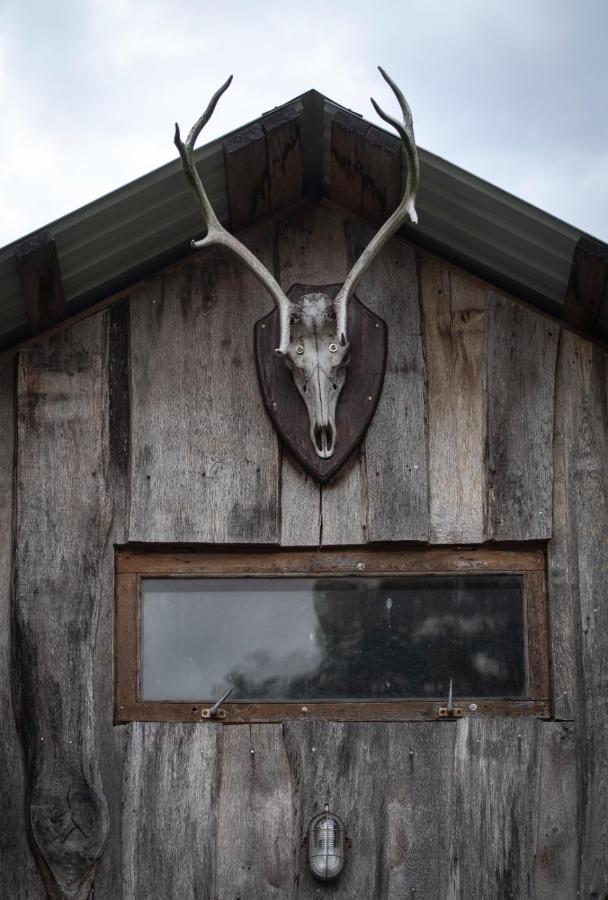 Glamping Fluffy Horns - Glempings Pukainie Ragi Hotel Plieņciems Buitenkant foto